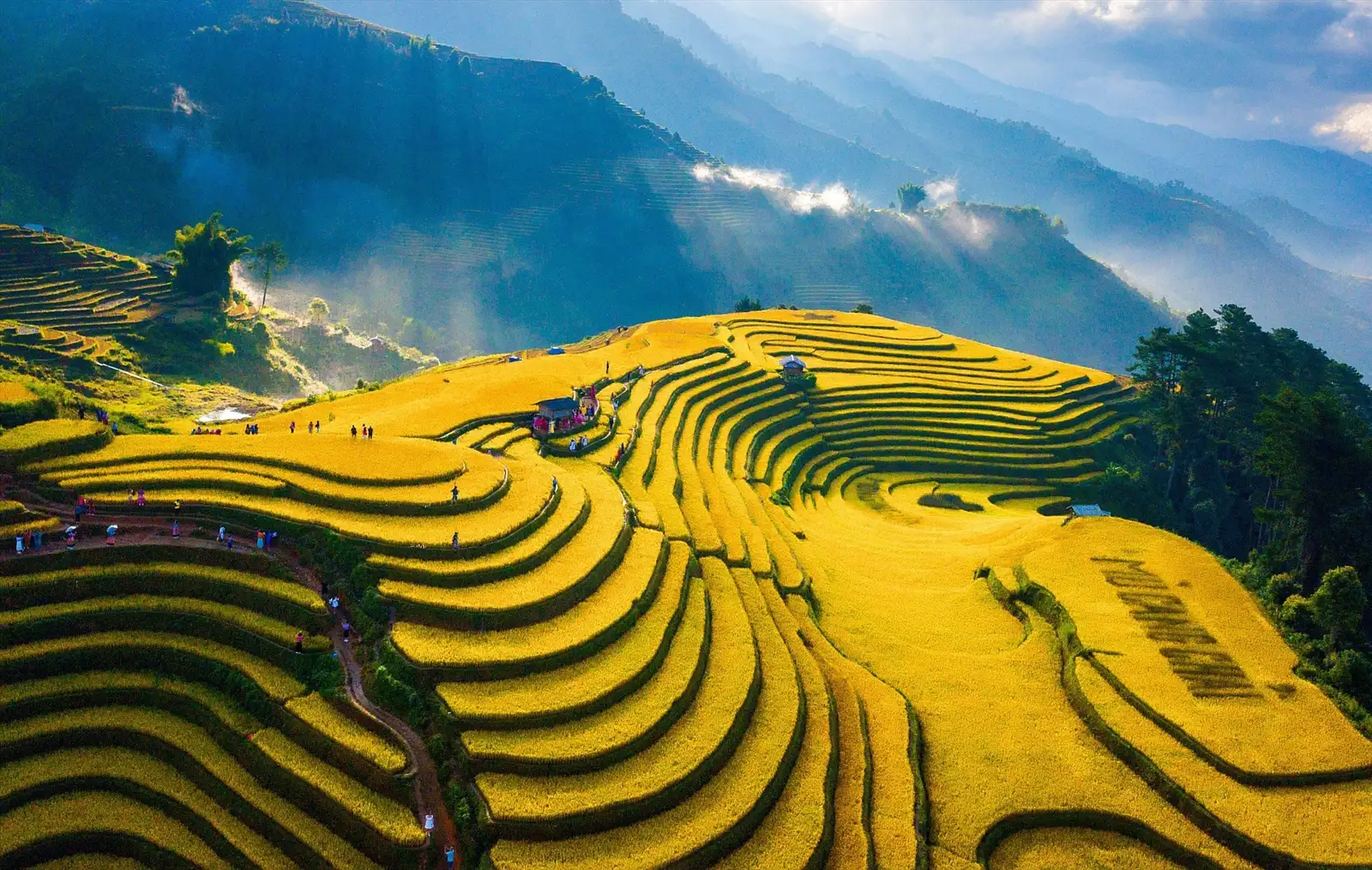 Rice terraces in northern Vietnam