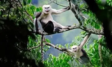 Cat Tien National Park Private 2D1N Tour, photo 1