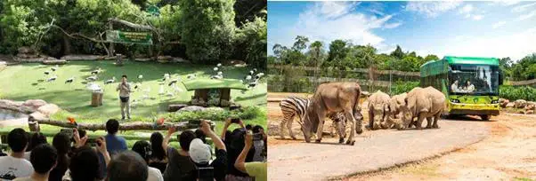 Phu Quoc 5 Days Tour for Indians, photo 1